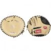 Rawlings 28" Heart Of The Hide Training Baseball Glove, PROFL12TR Best Price
