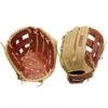 Wilson 12" A500 Youth All Positions Baseball Glove, WBW10015512 Best Price