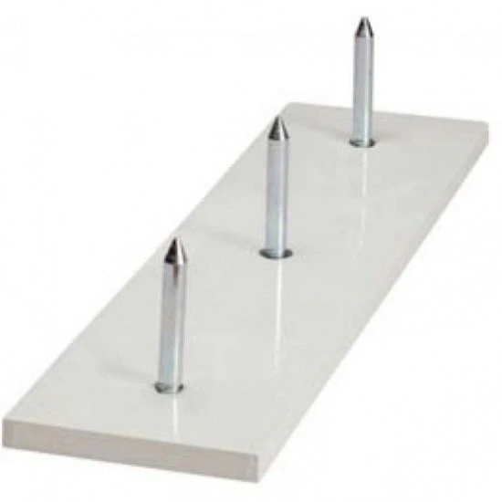 Champion Official Size Pitcher's Plate, 80 Promotions 3 Champion Official Size Pitcher's Plate, 80 Promotions