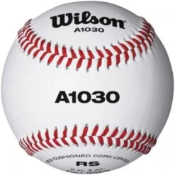 Wilson A1030B HS Practice Baseballs, Dz Promotions
