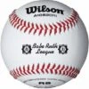 Wilson A1082BBR1 Babe Ruth Baseballs, Dz Best Price 2 Wilson A1082BBR1 Babe Ruth Baseballs, Dz Best Price -Ball Sports Store a33 417 new 550x550 1