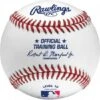 Rawlings ROTB10 Level 10 Baseballs, Dz Best Price -Ball Sports Store a33 451 new 550x550 1