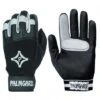 PALMGARD Glove, ADULT Promotions 2 PALMGARD Glove, ADULT Promotions -Ball Sports Store a33 831 new 550x550 1
