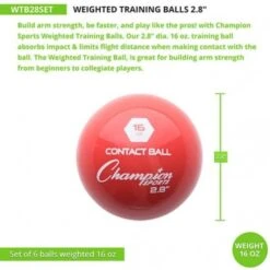Champion 6/set 2.8" Weighted Training Balls Promotions -Ball Sports Store a34 001 4 550x550 1