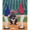 ProMounds Designated Hitter Pitching Aid, ADULT Promotions 2 ProMounds Designated Hitter Pitching Aid, ADULT Promotions -Ball Sports Store a34 834 14 550x550 1