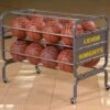 Bison Lockable Basketball Cart Promotions -Ball Sports Store ba 165 550x550 1