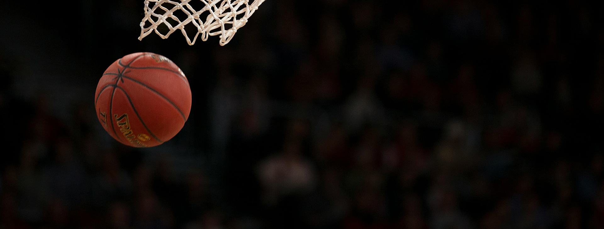 Ball Sports Store -Ball Sports Store pexels markusspiske 1752757